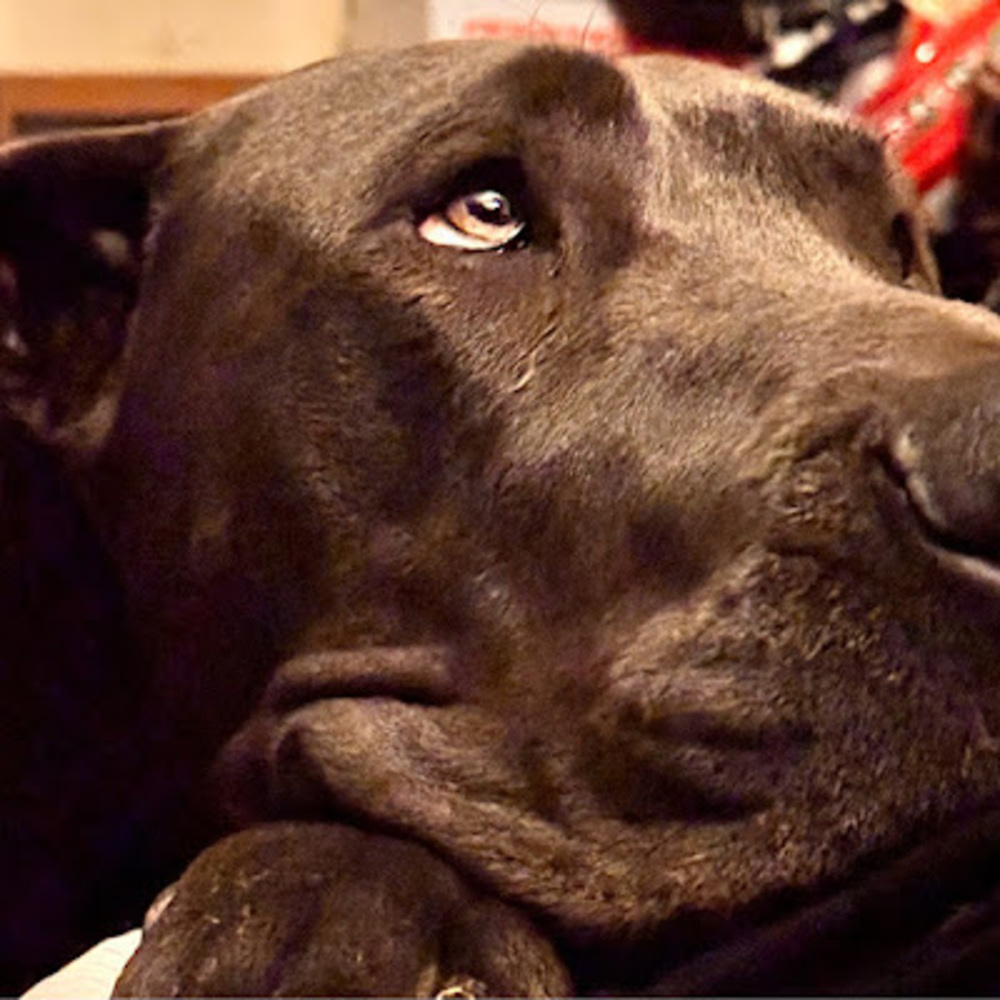 Meet your Posher, Aggie